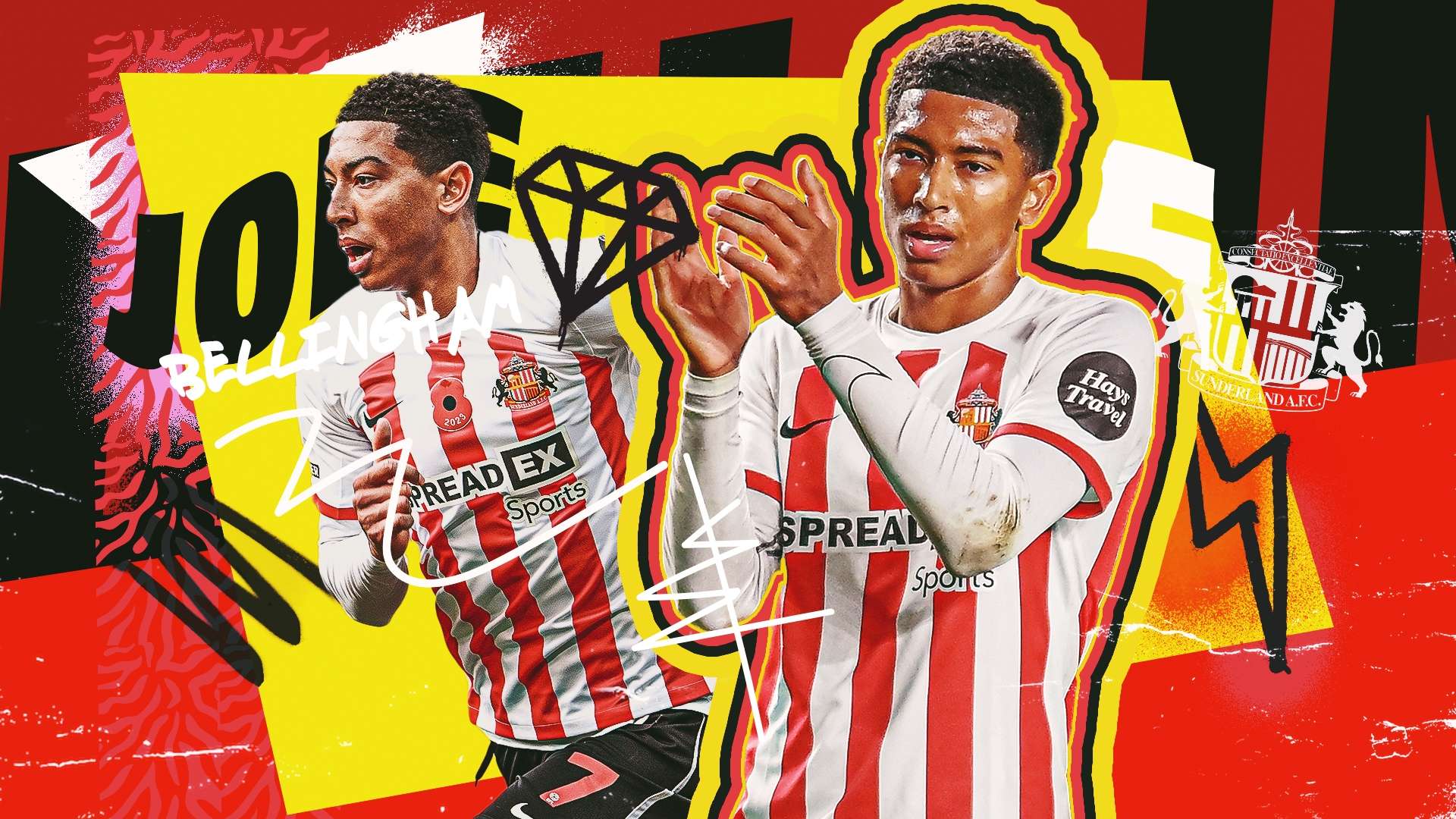 决策的内容 决策的内容